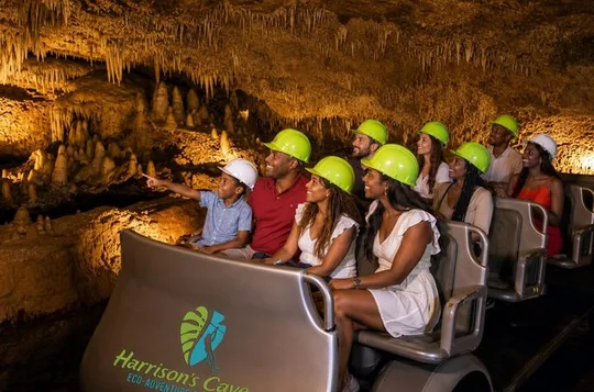 Half-Day Barbados Tour Harrisons Cave Hunte's Garden and Bathsheba