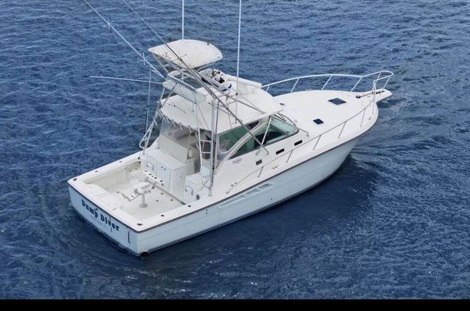 Full Day Big Game Fishing