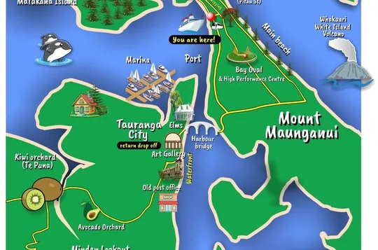 TAURANGA City & Scenic Sightseeing 2-hour Local Bus Tour