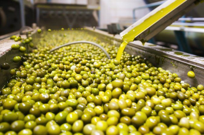 Corinth & Olive Oil Tasting Private Tour from Athens