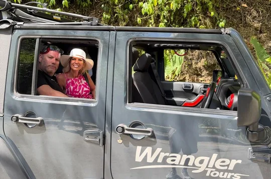 Half Day Private Tour in St. Lucia Jeep Wrangler
