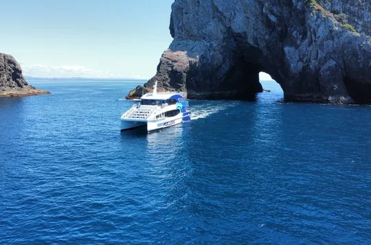 Hole in the Rock Scenic Cruise including Dolphins and Island stop