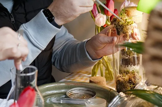 Terrarium Making Experience in Cirencester