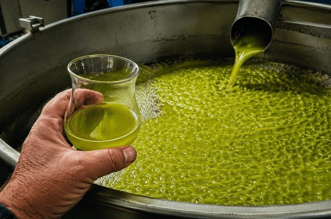 Tuscan ExtraVirgin Olive Oil Tour