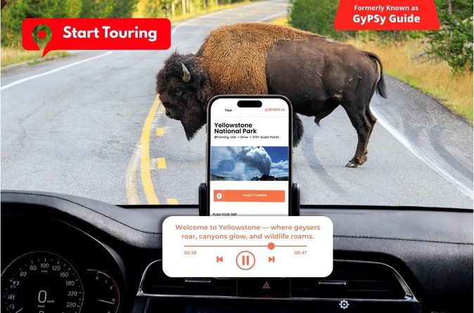 Self-Guided Audio Driving Tour in Yellowstone National Park