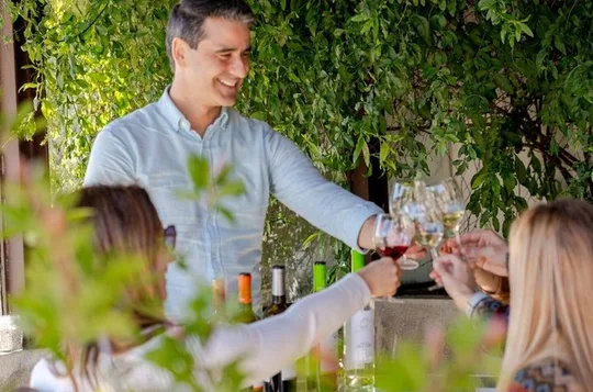 Private Arrábida Wine Tour from Lisbon with Tastings
