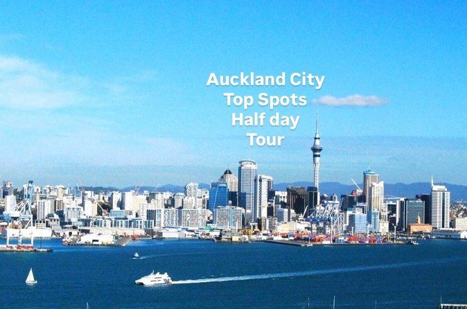 Auckland City Top Spots Half Day Tour(Small Group Tour)