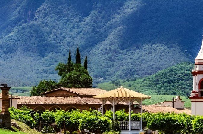 Private Express Charter from Guadalajara (Pet-Friendly)