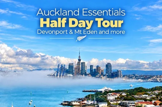 Auckland Essentials Half Day Tour - Devonport & Mt Eden and more