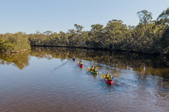 Noosa Everglade Kayak -South/Noosa End - Searching for Stingrays!