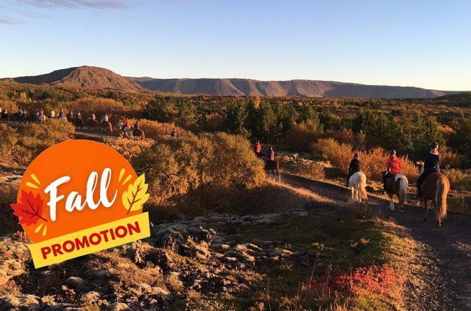 Icelandic Horseback Riding Tour with Pickup Option from Reykjavik