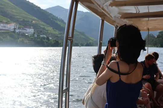 From Porto: Douro Valley, 1 or 2 wineries visit and scenic cruise