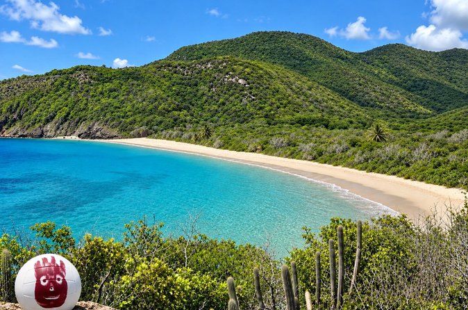 The Only 4x4 Adventure to Rendezvous Bay - Wilson Castaway Tour