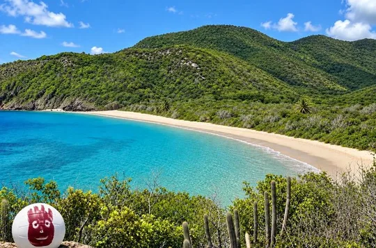 The Only 4x4 Adventure to Rendezvous Bay - Wilson Castaway Tour