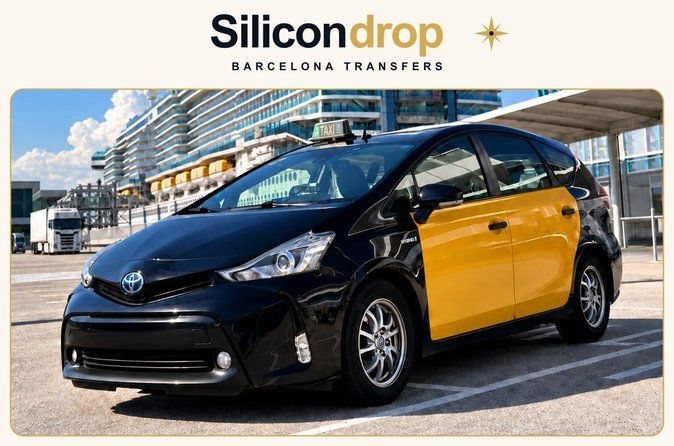 Barcelona Cruise Port to Airport Private Taxi Transfer