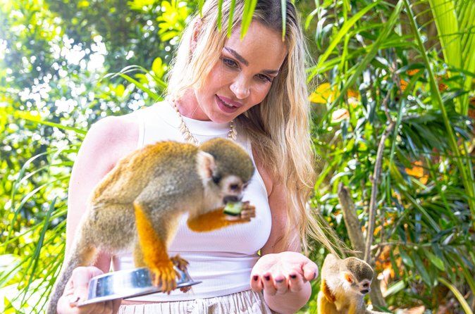 Monkeyland Puerto Plata