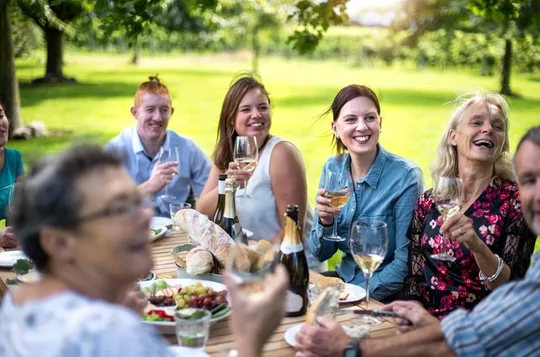 Full-Day Wine Tour from Picton