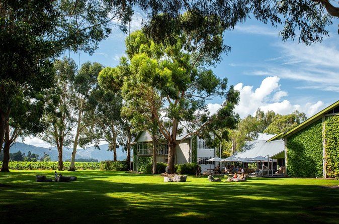 Full-Day Marlborough Scenic and Wine Tour from Blenheim