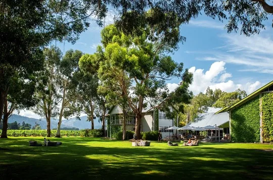 Full-Day Marlborough Scenic and Wine Tour from Blenheim