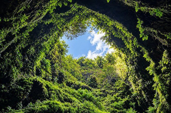 Underground Van Tour (Half Day) | Terceira Island