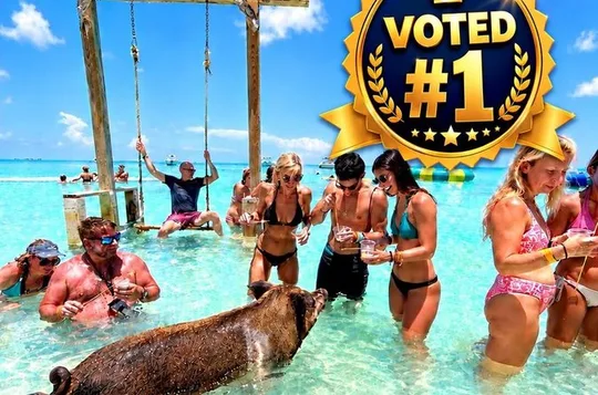 Rose Island Swimming with the Pigs Lunch and Private Beach