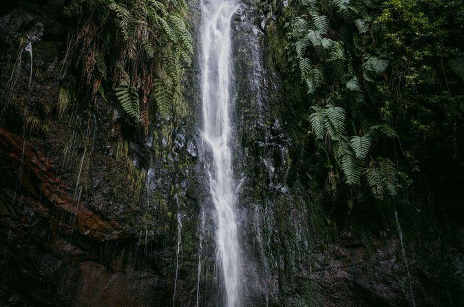 PR6 Levada Wood : Rabaçal - 25 Sources