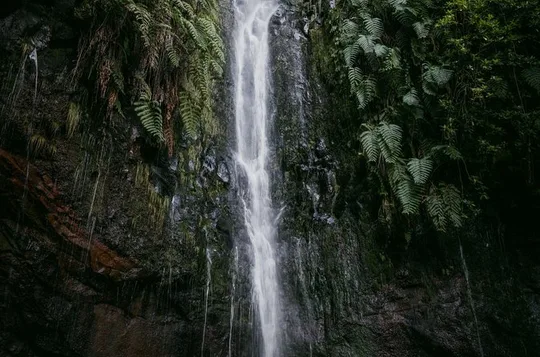 PR6 Levada Wood : Rabaçal - 25 Sources