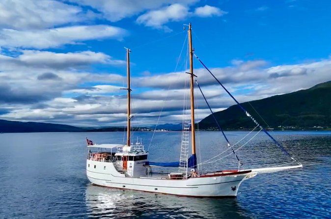 Croisière estivale de luxe dans les fjords de Tromsø avec déjeuner inclus