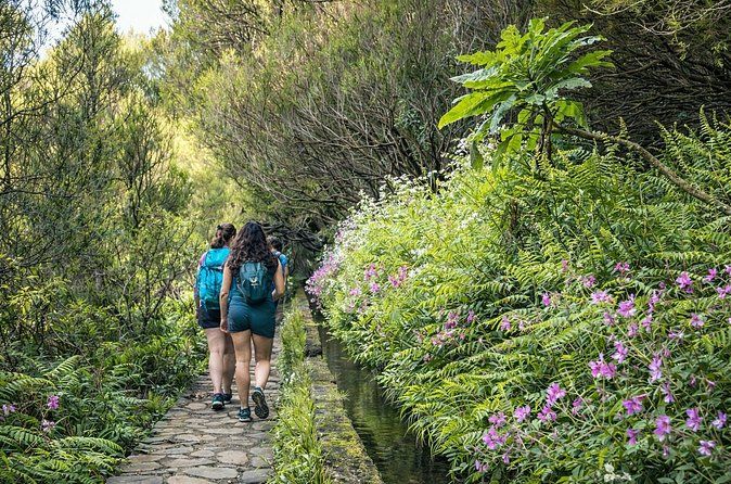 25 Fontes Levada Hike in Rabaçal – Small Group