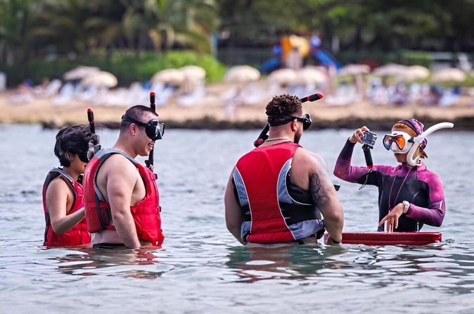 San Juan: VIP-Snorkeling with Turtles and Complimentary Videos