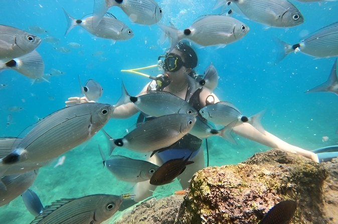 From Antalya/Kemer: Scuba Diving Tour with Lunch & Transfer