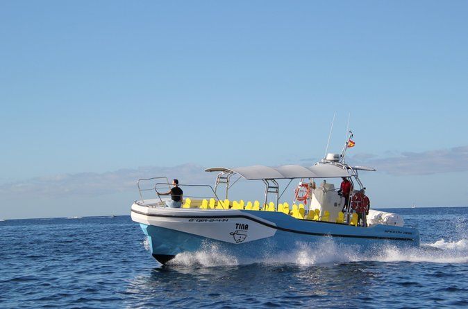 3 hrs Boat Excursion for whale watching from Valle GR (La Gomera)