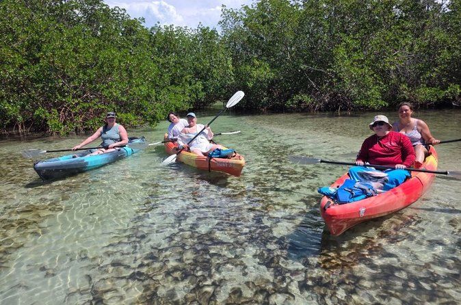 Siesta Key Kayak & Paddleboard Rentals | Midnight Pass Beach