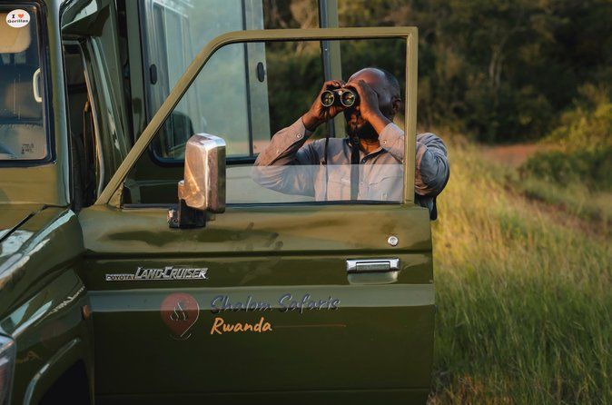 4 Days of Wildlife & Gorilla Trekking Safari Experience