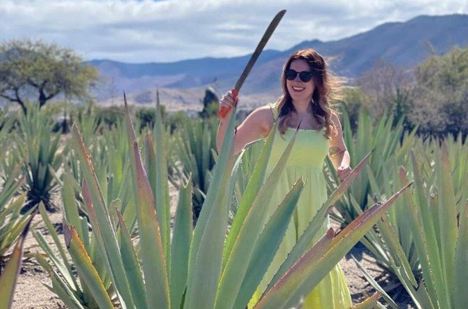 Oaxaca Countryside: Agave Fields & Mezcal