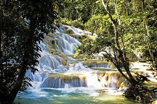 Dunn’s River Falls Tour with Transfers from Montego Bay