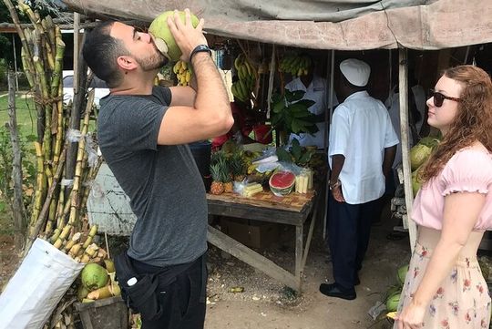 Private and Customize Highlight Tour to Montego Bay from Falmouth