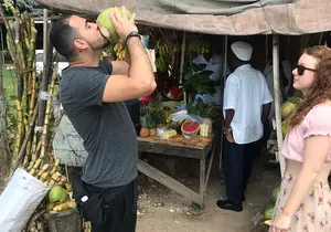 Private and Customize Highlight Tour to Montego Bay from Falmouth