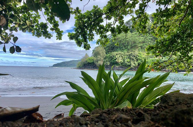 Tahiti Nui: Private tour, East Coast OR West Coast (Half Day)