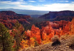 Yellowstone Rocky Mountain and California Desert 11 Day Explorer