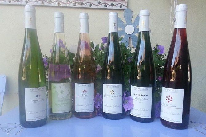 Winemaker's aperitif with Wine Tour and Wine Tasting