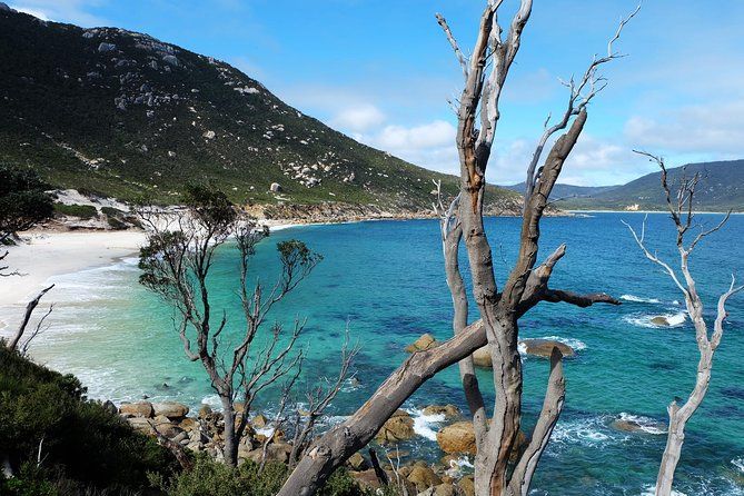 Wilsons Promontory Hiking Day Tour – Small Group (4–11 Guests)