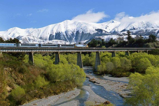 Arthur's Pass National Park Day Tour with TranzAlpine Train