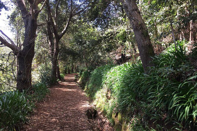 Vale Paraiso - Paradise Valley Walk