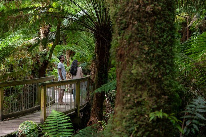 Great Ocean Road Grampians 3 Day National Park Tour Melbourne Roundtrip