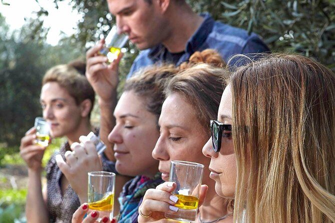 Bio Farm Private Olive Oil Tasting, Farm to Fork Meal & Temple of Poseidon Tour