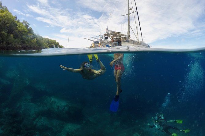 Catamaran snorkelling turtles in small committee & diving option