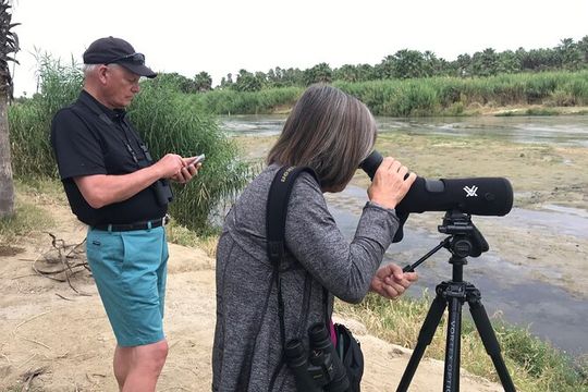 Birding San Jose Estuary Los Cabos Mexico
