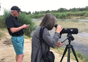 Birding San Jose Estuary Los Cabos Mexico