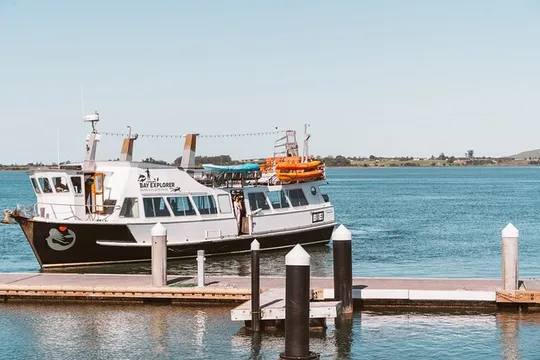 Tauranga Scenic Cruise Two Hours